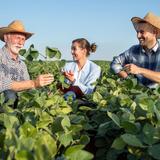 Seguro para Lavouras